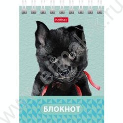 Блокнот  40л А7 спираль "Глазки, ушки, носик" | Фото 3