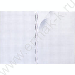 Тетрадь  96л А4 клетка/спираль "Студенту- Синяя" /мат ламин,тиснение/ | Фото 2