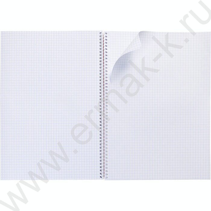 Тетрадь  96л А4 клетка/спираль "Студенту- Синяя" /мат ламин,тиснение/ | Фото 2