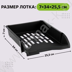 Лоток горизонтальный литой Лидер /черный /ширина 255мм | Фото 2