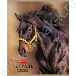 Тетрадь  80л линейка "Дикий мир" | Фото 1