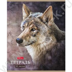 Тетрадь  80л линейка "Дикий мир" | Фото 2