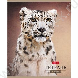 Тетрадь  80л линейка "Дикий мир" | Фото 3