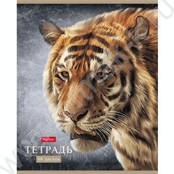 Тетрадь  80л линейка "Дикий мир" | Фото 4