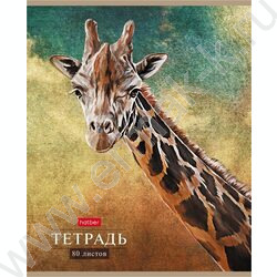 Тетрадь  80л линейка "Дикий мир" | Фото 5