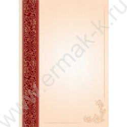 Бланк для награждения Универсальный | Фото 1