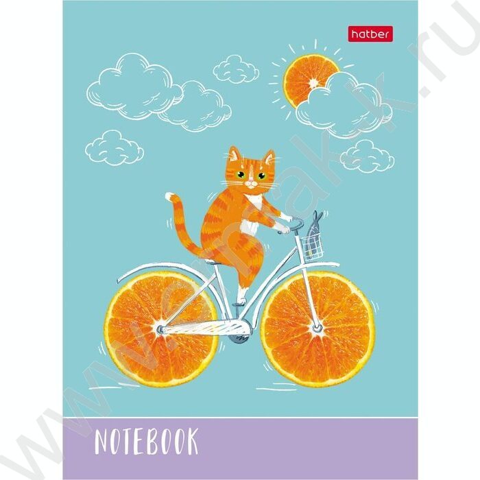 Зап. книжка  48л А6 тв.обл. "Котик-апельсинчик" | Фото 1