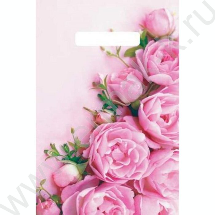 Пакет вырубной 20*30см/30мкм Ненси | Фото 1