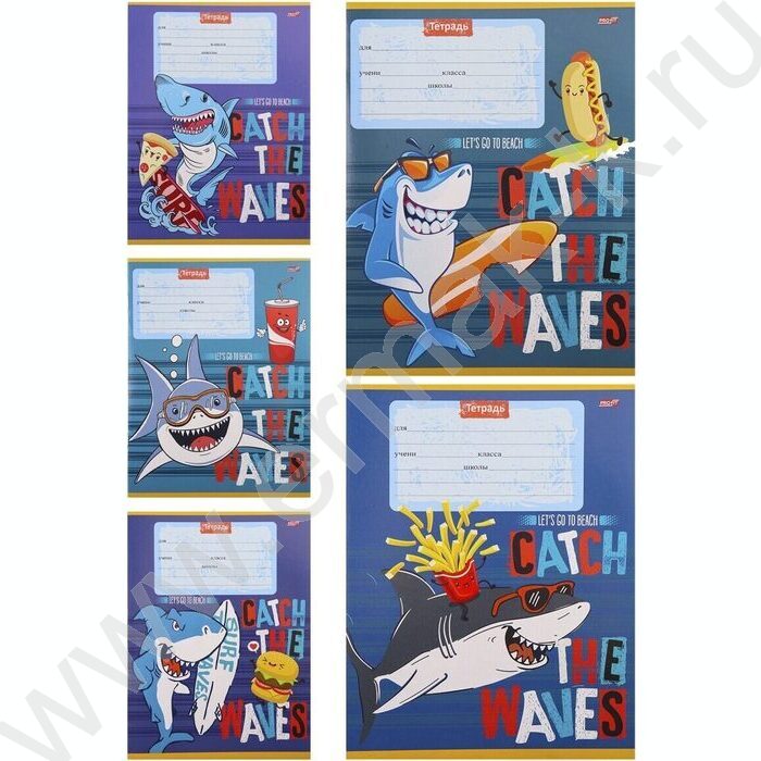 Тетрадь  12л клетка "Акула-Сёрфер" 5видов | Фото 1