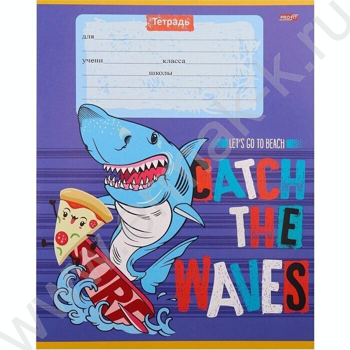 Тетрадь  12л клетка "Акула-Сёрфер" 5видов | Фото 3