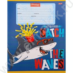 Тетрадь  12л клетка "Акула-Сёрфер" 5видов | Фото 5