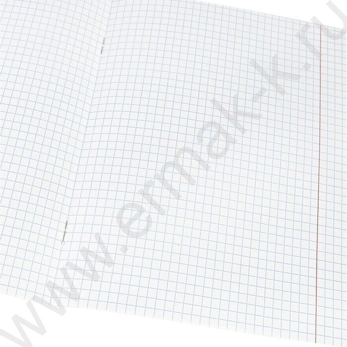 Тетрадь  12л клетка "Акула-Сёрфер" 5видов | Фото 7