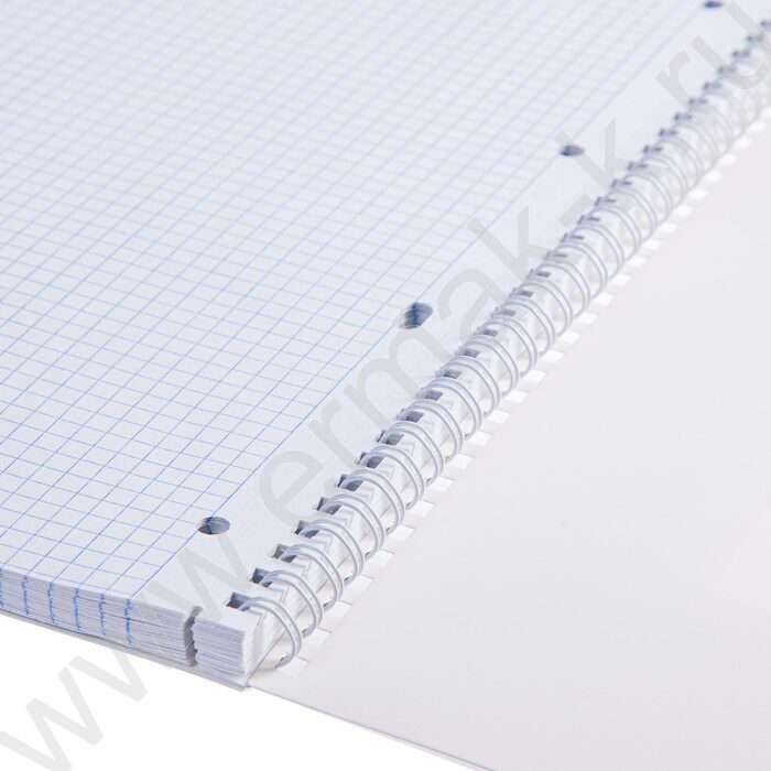 Тетрадь  80л А4 клетка/спираль "Золотой пегас" /мат.ламин. 3D фольга/ ассорти | Фото 5