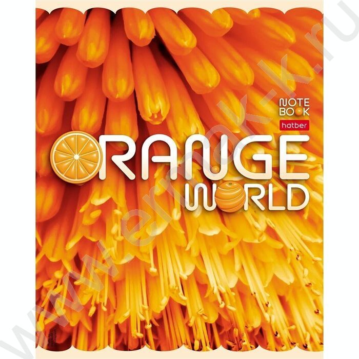 Тетрадь  96л клетка "Оранжевый мир" /мат.лам. / ассорти | Фото 2