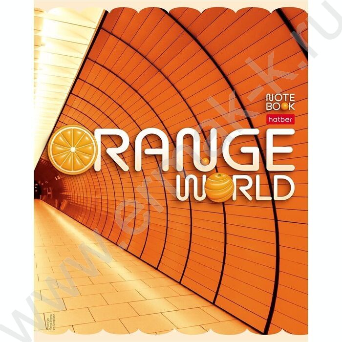 Тетрадь  96л клетка "Оранжевый мир" /мат.лам. / ассорти | Фото 4
