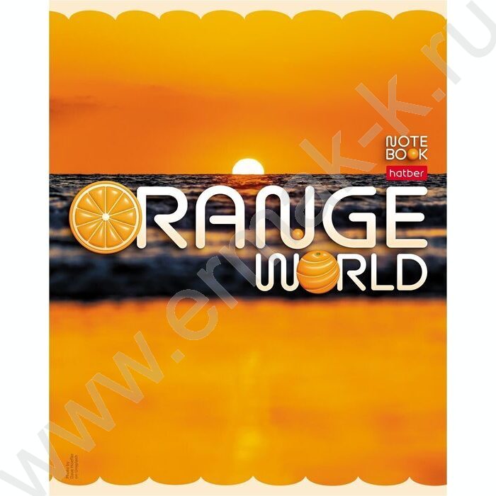 Тетрадь  96л клетка "Оранжевый мир" /мат.лам. / ассорти | Фото 5