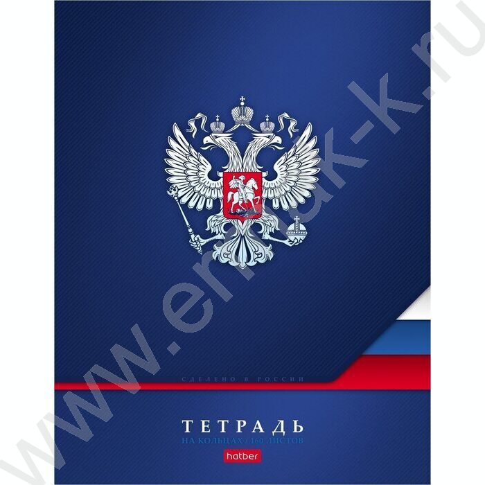 Тетрадь 160л клетка/кольца "Россия" /мат.лам. | Фото 1