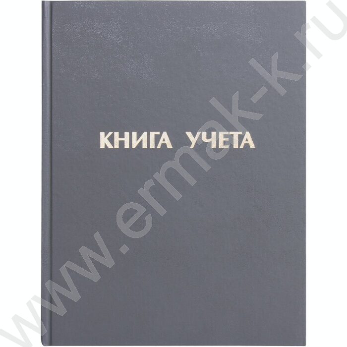 Книга Учёта  96 л. А4 (210х265 мм) линия, бумвинил, блок офсет | Фото 1