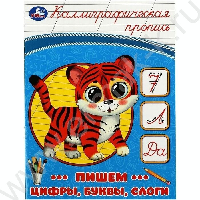 Пропись А5 Каллиграфическая.Пишем цифры,буквы,слоги | Фото 1