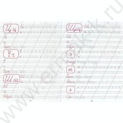 Пропись А5 Каллиграфическая.Пишем цифры,буквы,слоги | Фото 4