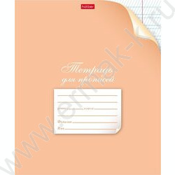 Тетрадь  12л линейка косая частая "Для прописей. С уголком" ассорти | Фото 4