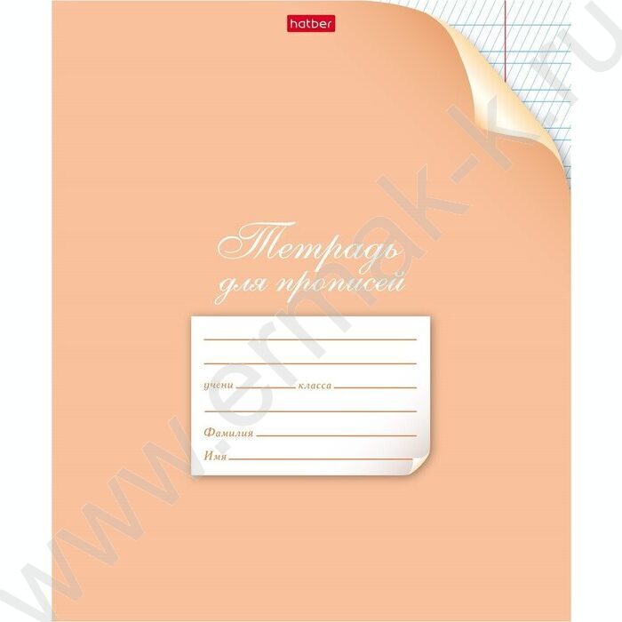 Тетрадь  12л линейка косая частая "Для прописей. С уголком" ассорти | Фото 4