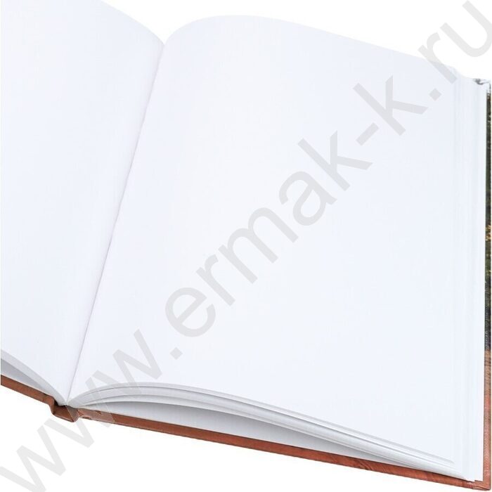 Зап. книжка  80л А5 тв.обл. "Машина в лесу" без линовки,ассорти | Фото 3