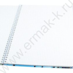 Зап. книжка  80л А4 тв.обл. спираль "Небоскрёбы из стекла" /глянец/ | Фото 2