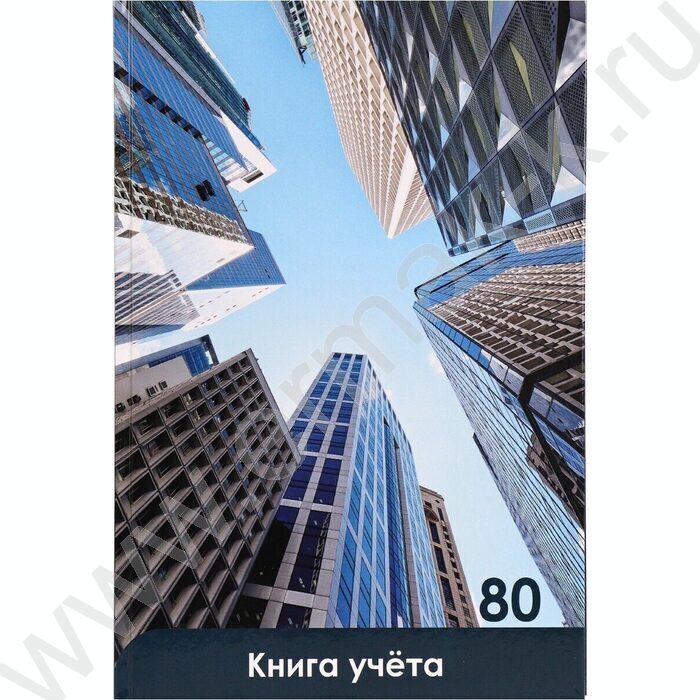 Книга Учёта  80л клетка тв.обл. офсет "Небоскрёбы и небо" | Фото 2