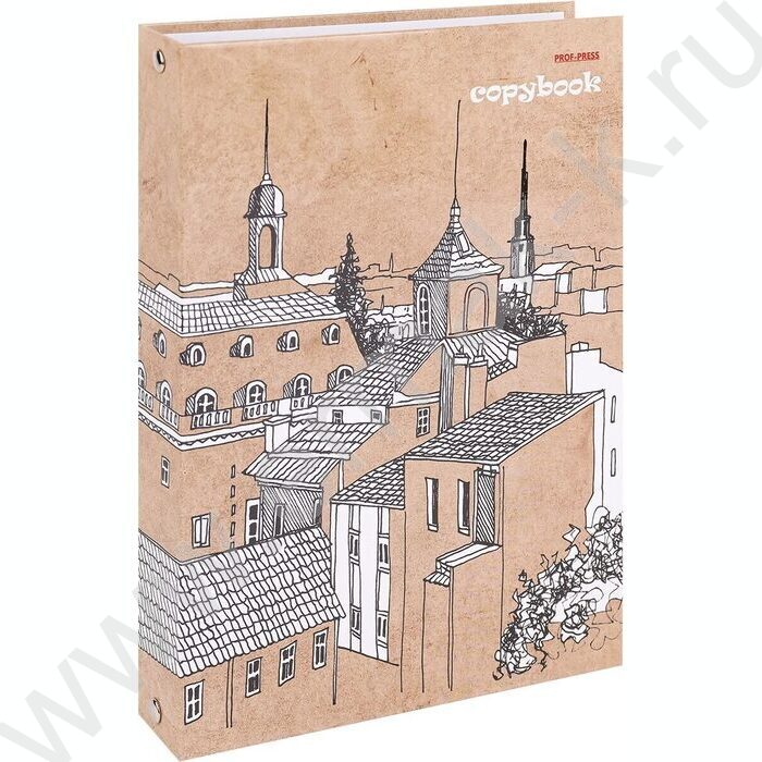 Тетрадь  80л клетка/кольца "Крыши домов" | Фото 1