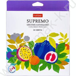 Карандаши  24цв Supremo /мягкий стержень /карт.коробка | Фото 1