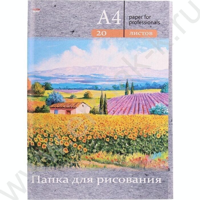 Папка д/рисования А4 20л 120г/м² "Цветочные поля" | Фото 1