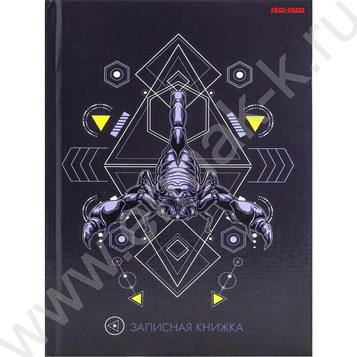 Зап. книжка  80л А5 тв.обл. "Скорпион и геометрия" /глянц. ламинац, лен, без линовки/ | Фото 2