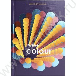 Зап. книжка  64л А6 тв.обл. "Разноцветные круги" /твин-лак, холодная фольга/ | Фото 2