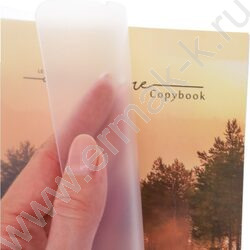 Тетрадь 120л клетка/кольца "Пейзаж в дымке" /с перфорацией, обл.пластик,резинка/ | Фото 3