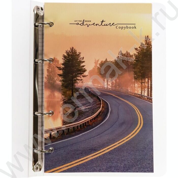 Тетрадь 120л клетка/кольца "Пейзаж в дымке" /с перфорацией, обл.пластик,резинка/ | Фото 4