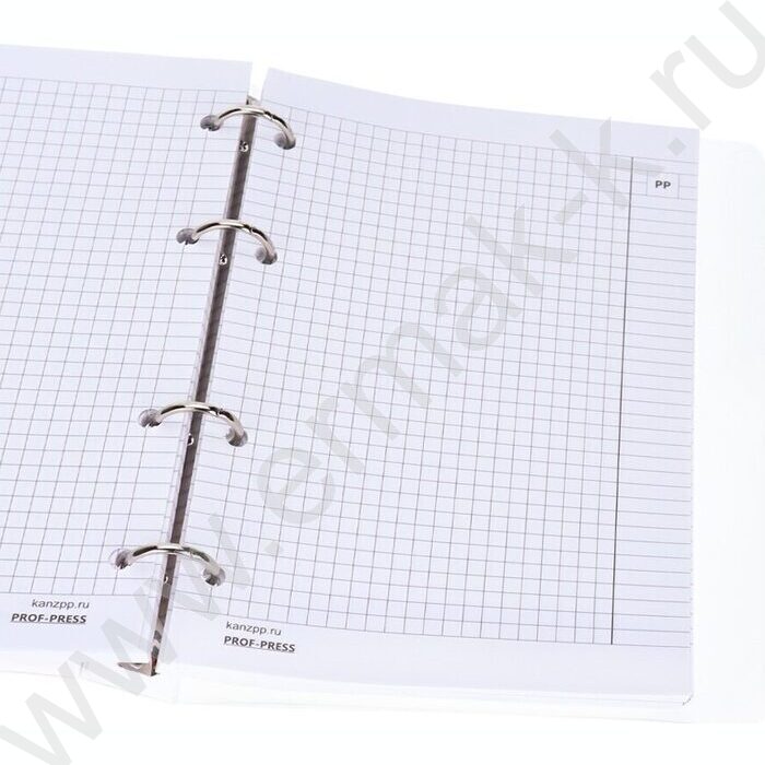 Тетрадь 120л клетка/кольца "Пейзаж в дымке" /с перфорацией, обл.пластик,резинка/ | Фото 5