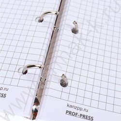 Тетрадь 120л клетка/кольца "Пейзаж в дымке" /с перфорацией, обл.пластик,резинка/ | Фото 6