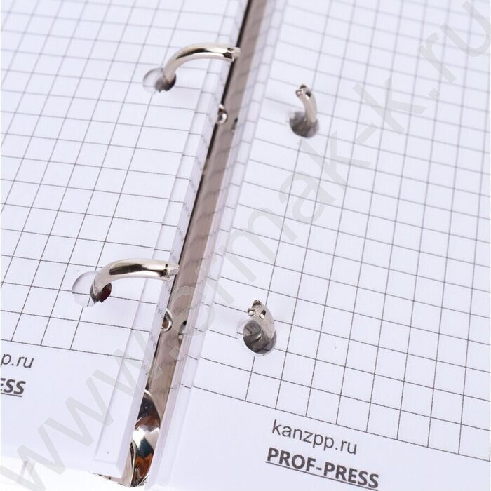 Тетрадь 120л клетка/кольца "Пейзаж в дымке" /с перфорацией, обл.пластик,резинка/ | Фото 6