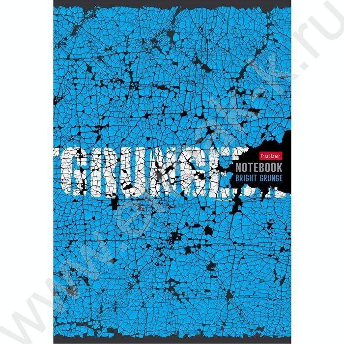 Тетрадь  80л А4 клетка "Яркий гранж" | Фото 2