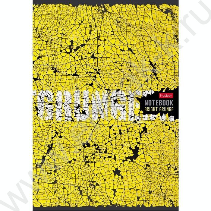 Тетрадь  80л А4 клетка "Яркий гранж" | Фото 3