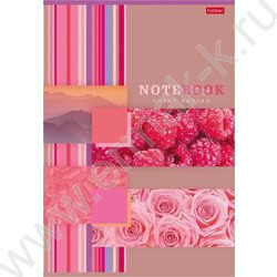 Тетрадь  96л А4 линейка "Моменты радости" /глянец/ ассорти | Фото 3