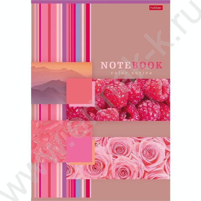 Тетрадь  96л А4 линейка "Моменты радости" /глянец/ ассорти | Фото 3