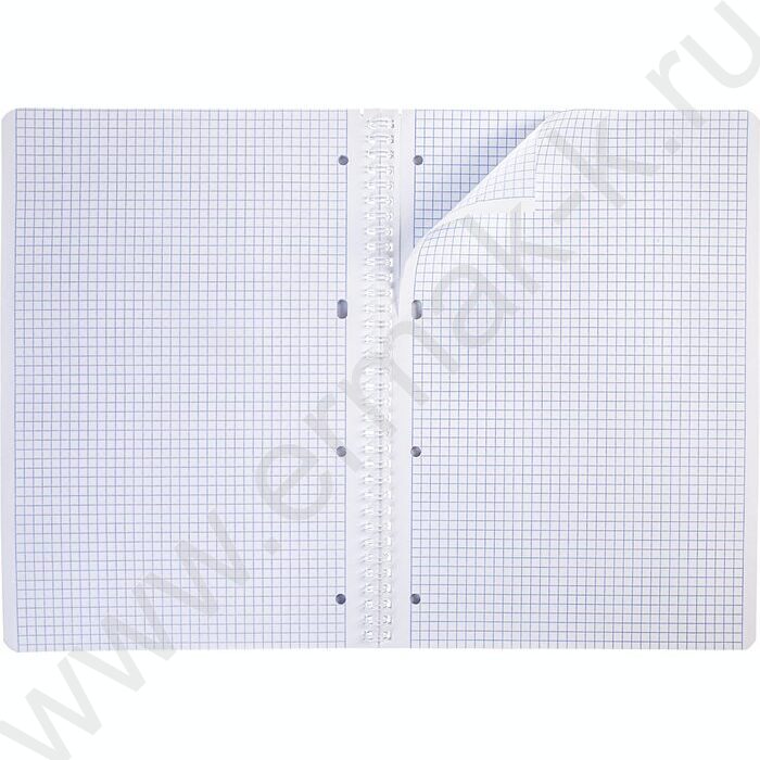 Тетрадь  80л А4 клетка/спираль "Floral collection" мат.лам. | Фото 5