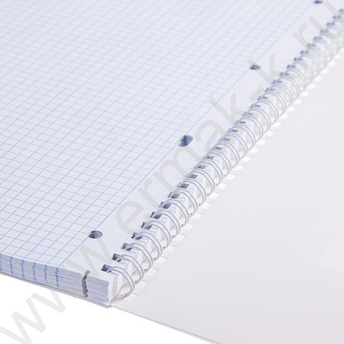Тетрадь  80л А4 клетка/спираль "Floral collection" мат.лам. | Фото 6
