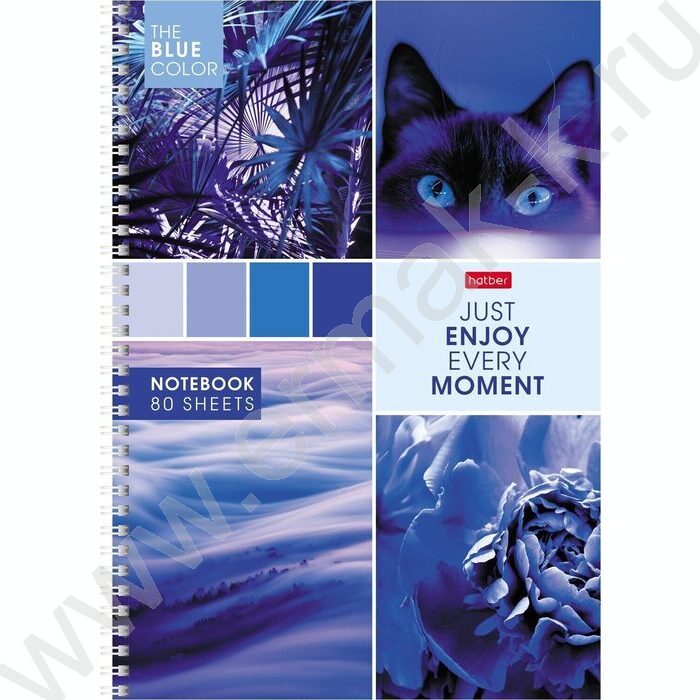 Тетрадь  80л А4 клетка/спираль "Калейдоскоп Моментов" | Фото 4