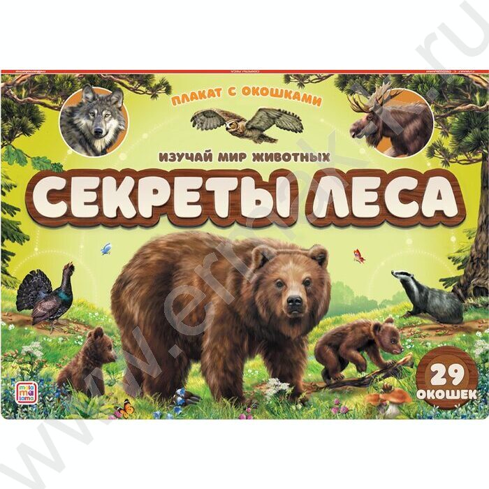 Плакат с окошками. Секреты леса | Фото 1