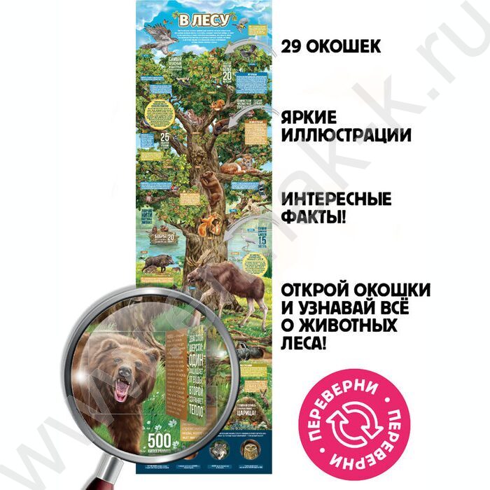 Плакат с окошками. Секреты леса | Фото 2