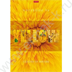 Тетрадь  96л А4 клетка "Гармония цвета" /выб.лак/ ассорти | Фото 1