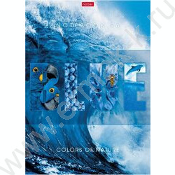 Тетрадь  96л А4 клетка "Гармония цвета" /выб.лак/ ассорти | Фото 3